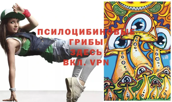 PSILOCYBIN Коряжма