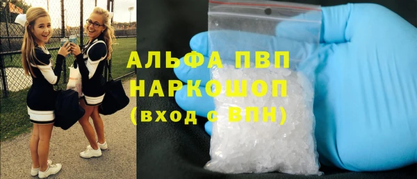 гашик Туринск