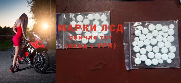 гашик Туринск